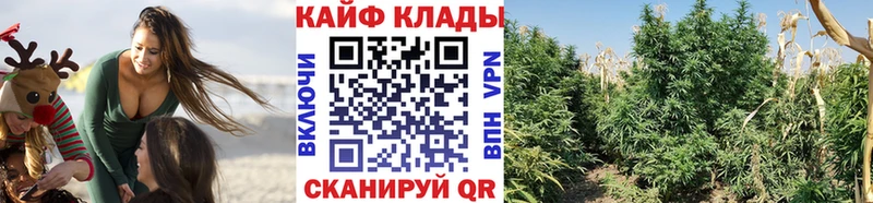 Магазин наркотиков Ленинск Канабис  Меф мяу мяу  А ПВП  Галлюциногенные грибы  МДМА  ГАШ  Codein  COCAIN 