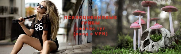 мяу мяу кристалл Надым