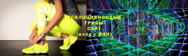 ПСИЛОЦИБИНОВЫЕ ГРИБЫ Михайловка