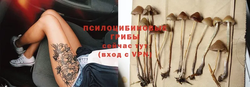 Псилоцибиновые грибы Magic Shrooms  omg ТОР  Ленинск 